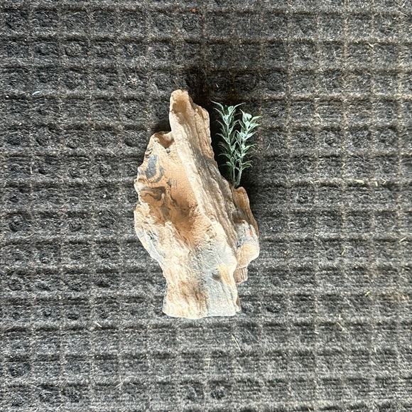 Terrarium Decor-Rocks - Picture 3 of 3